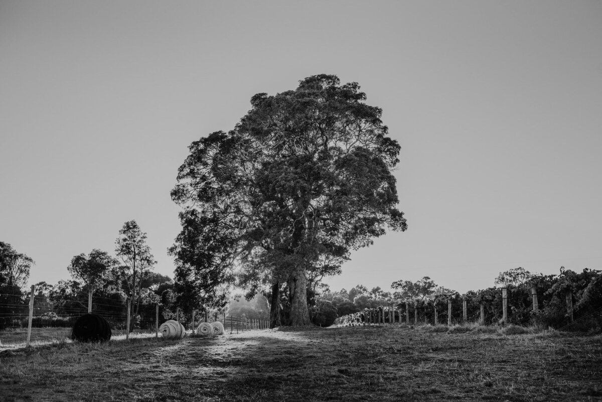 windows-estate-yallingup-margaret-river-freedom-garvey-photographer-010