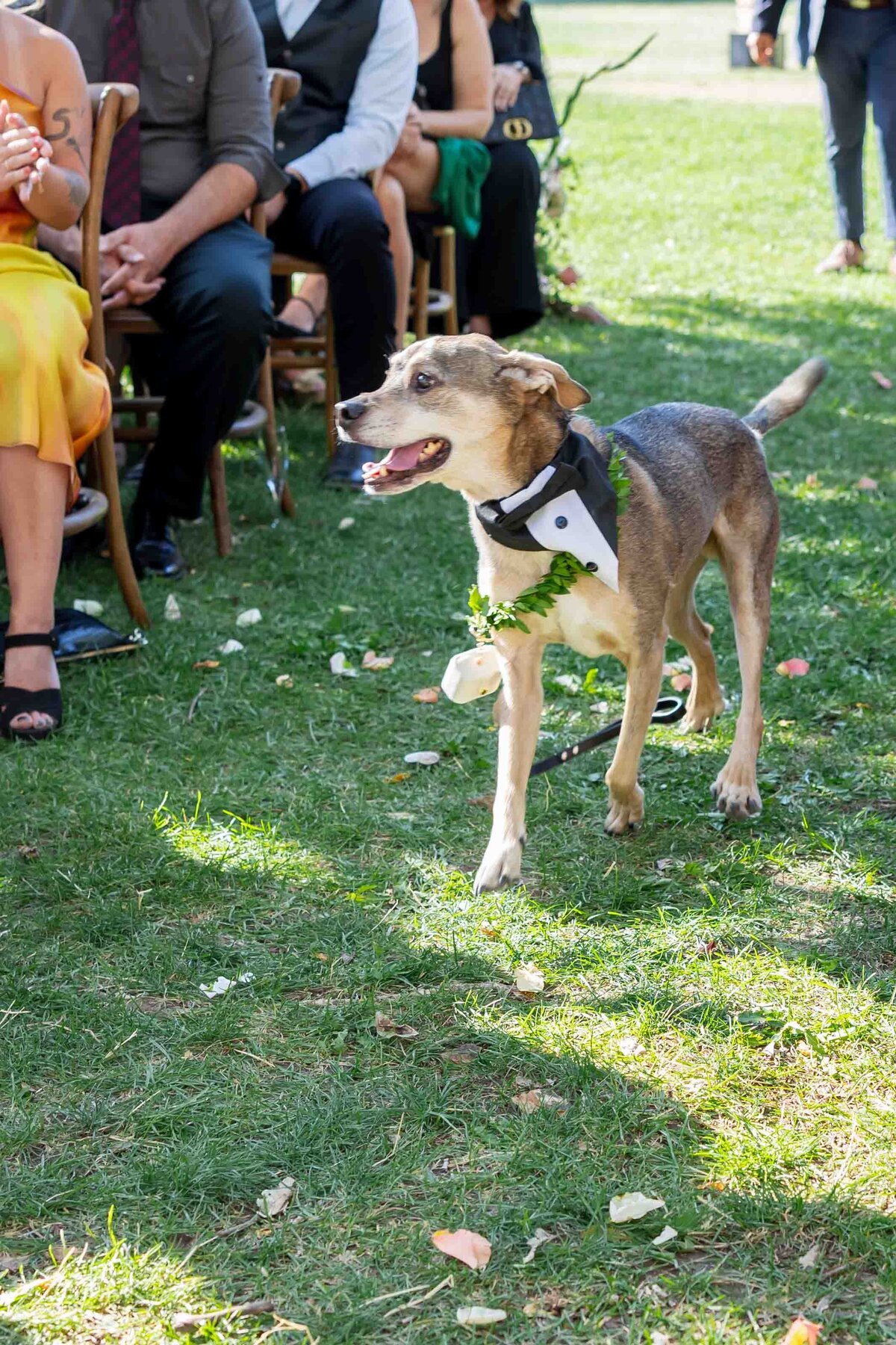 Planet-Bluegrass-Wedding-38