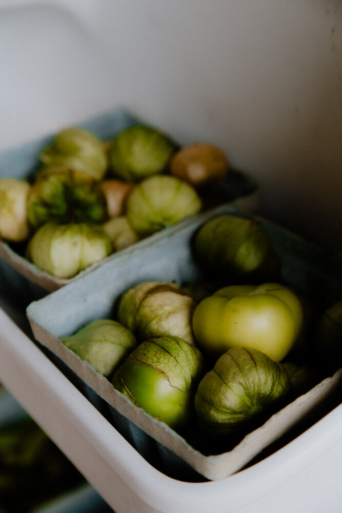 PineandFable_AlmaRootsFarm-8670