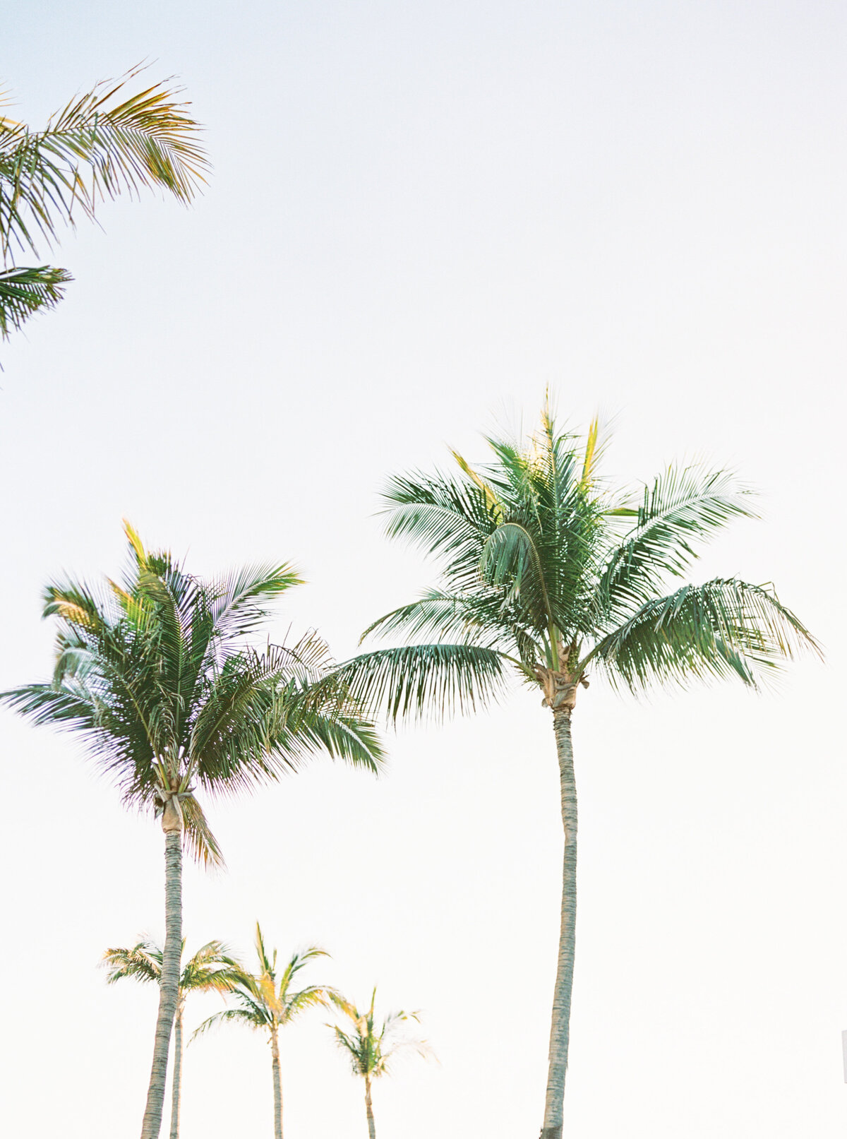 Zoe&Brody_FloraFarmsWedding_Details-4