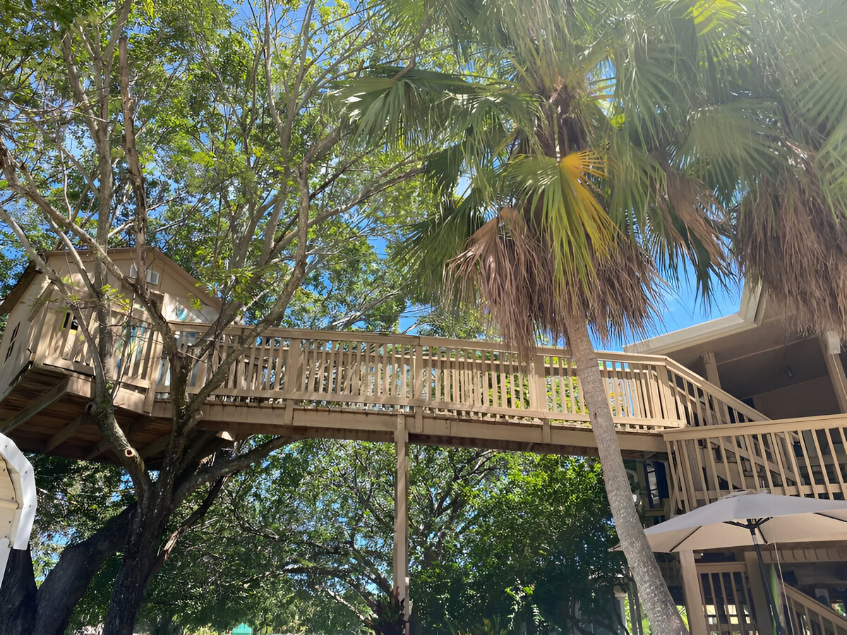 Patio 6 (2)