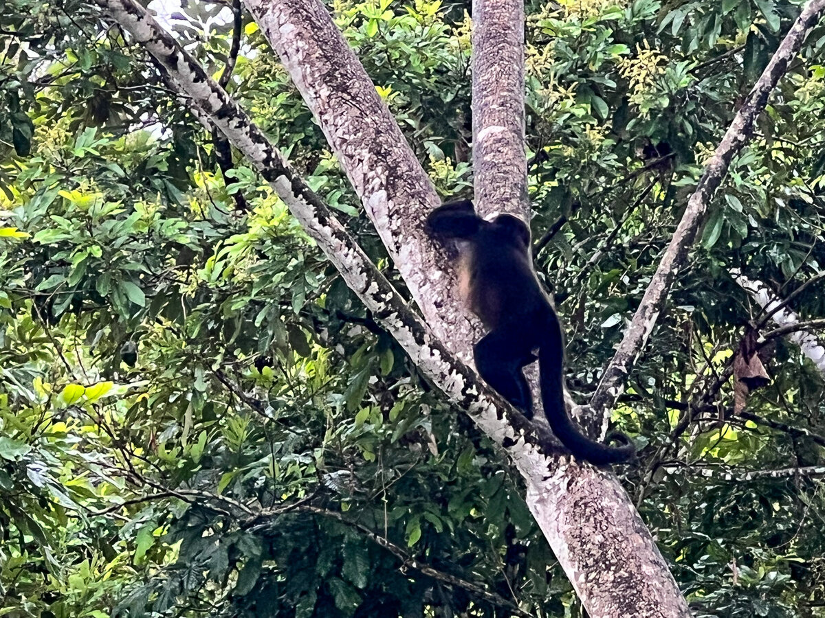 Panama-047