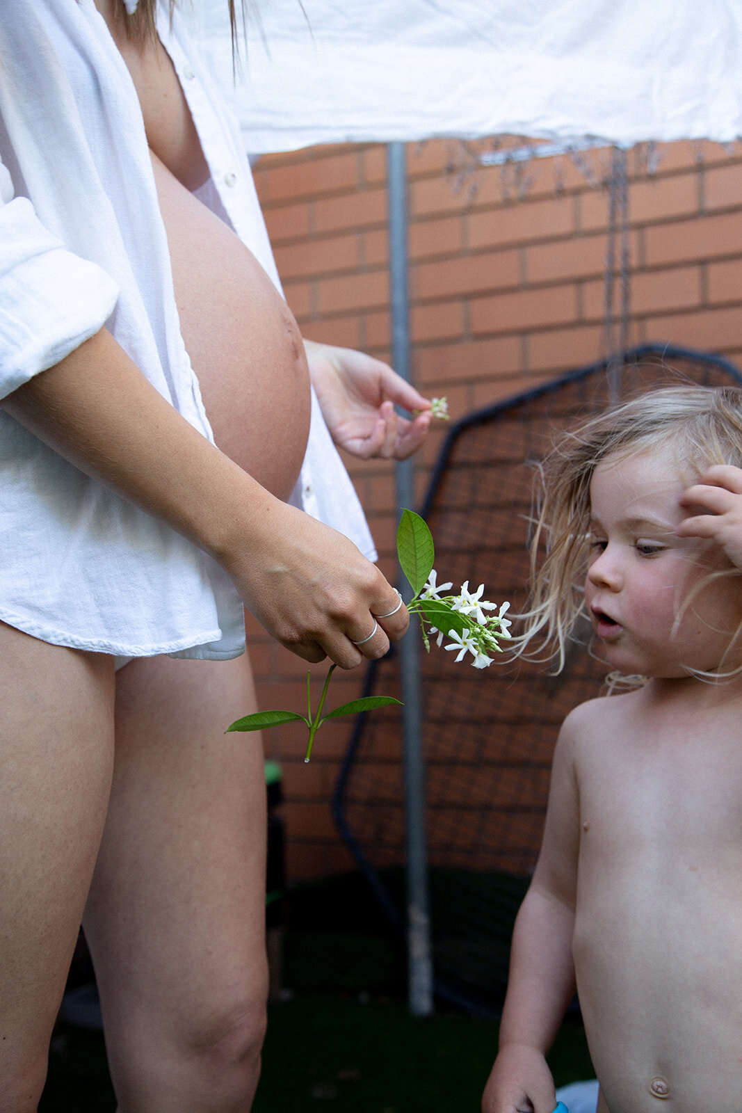 maternity-editorial-williamstown-11
