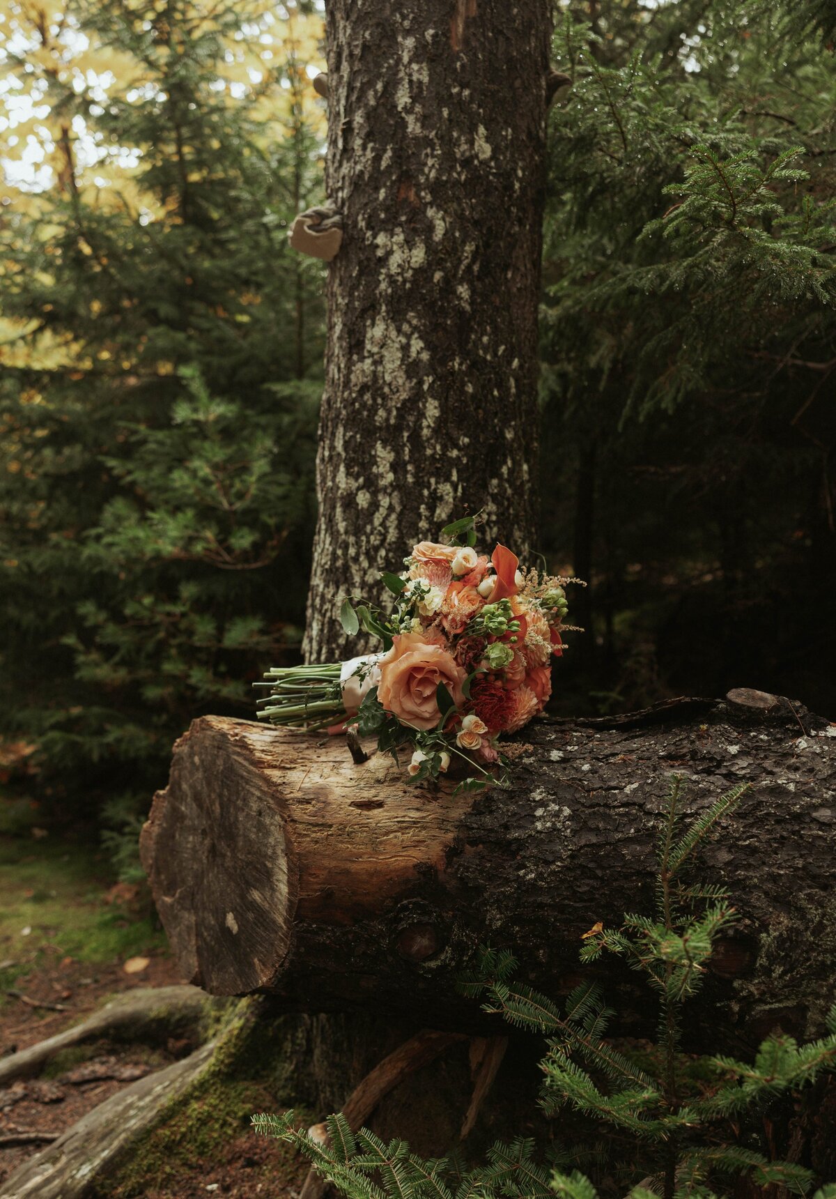 destination-elopement-photographermaine_elopement20246