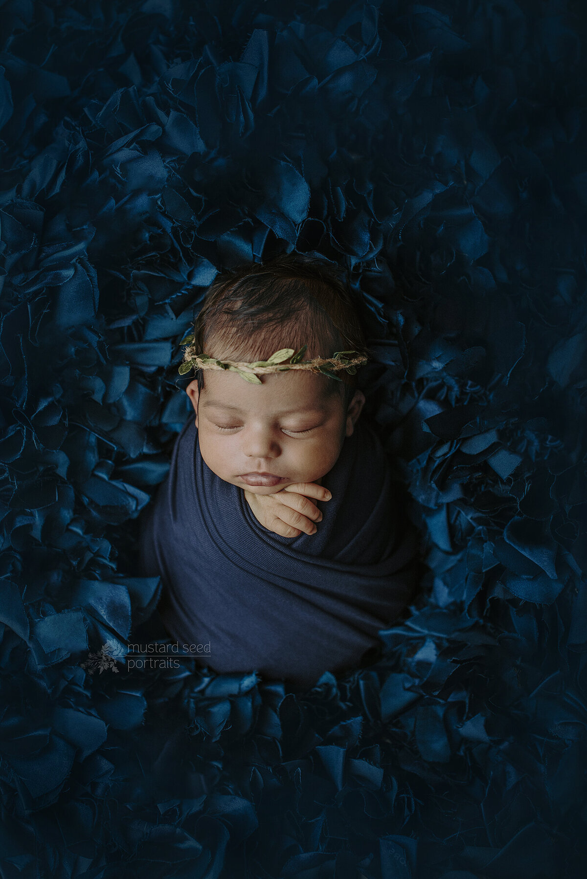 newborn photoshoot in NJ - 05