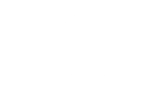 logo-newbornevolution