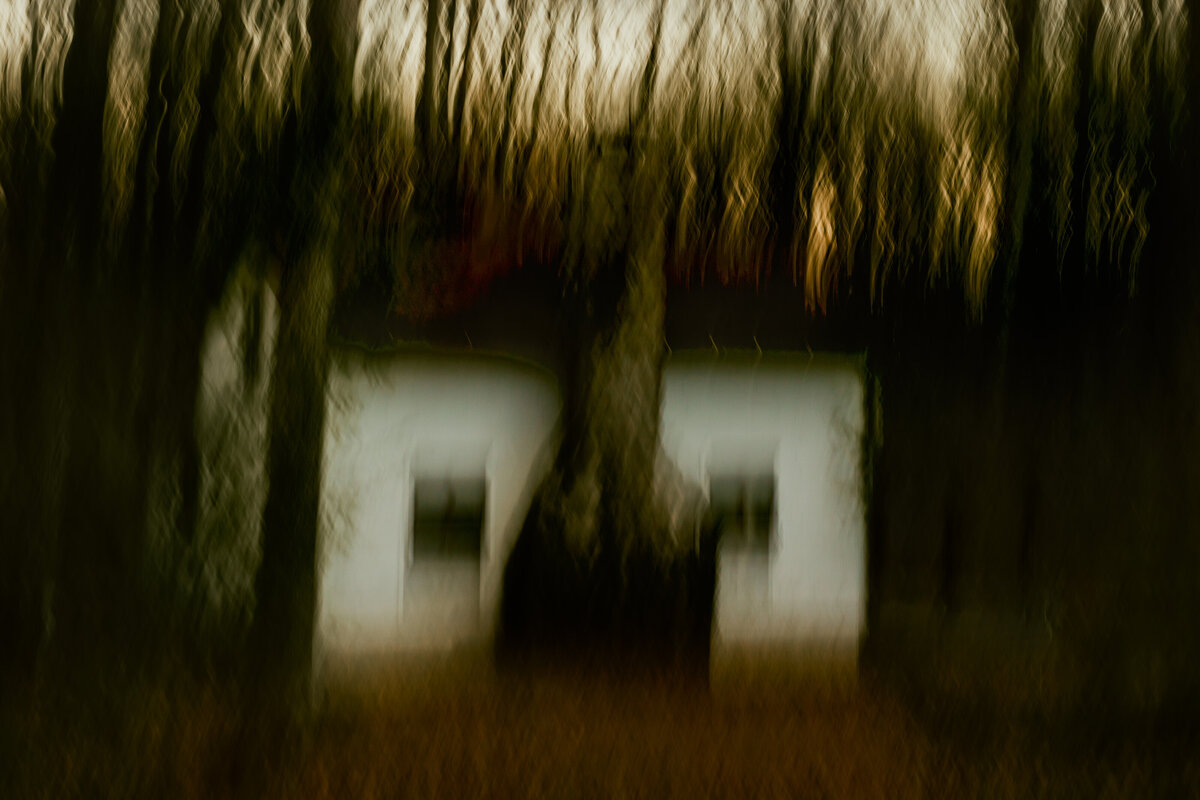 linn-run-0190-2