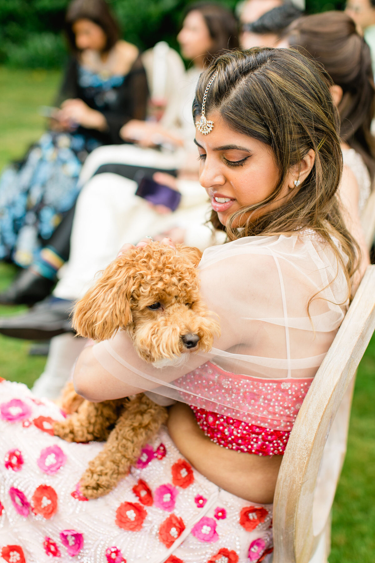 four-seasons-hampshire-wedding-photographer-roberta-facchini-photography-354