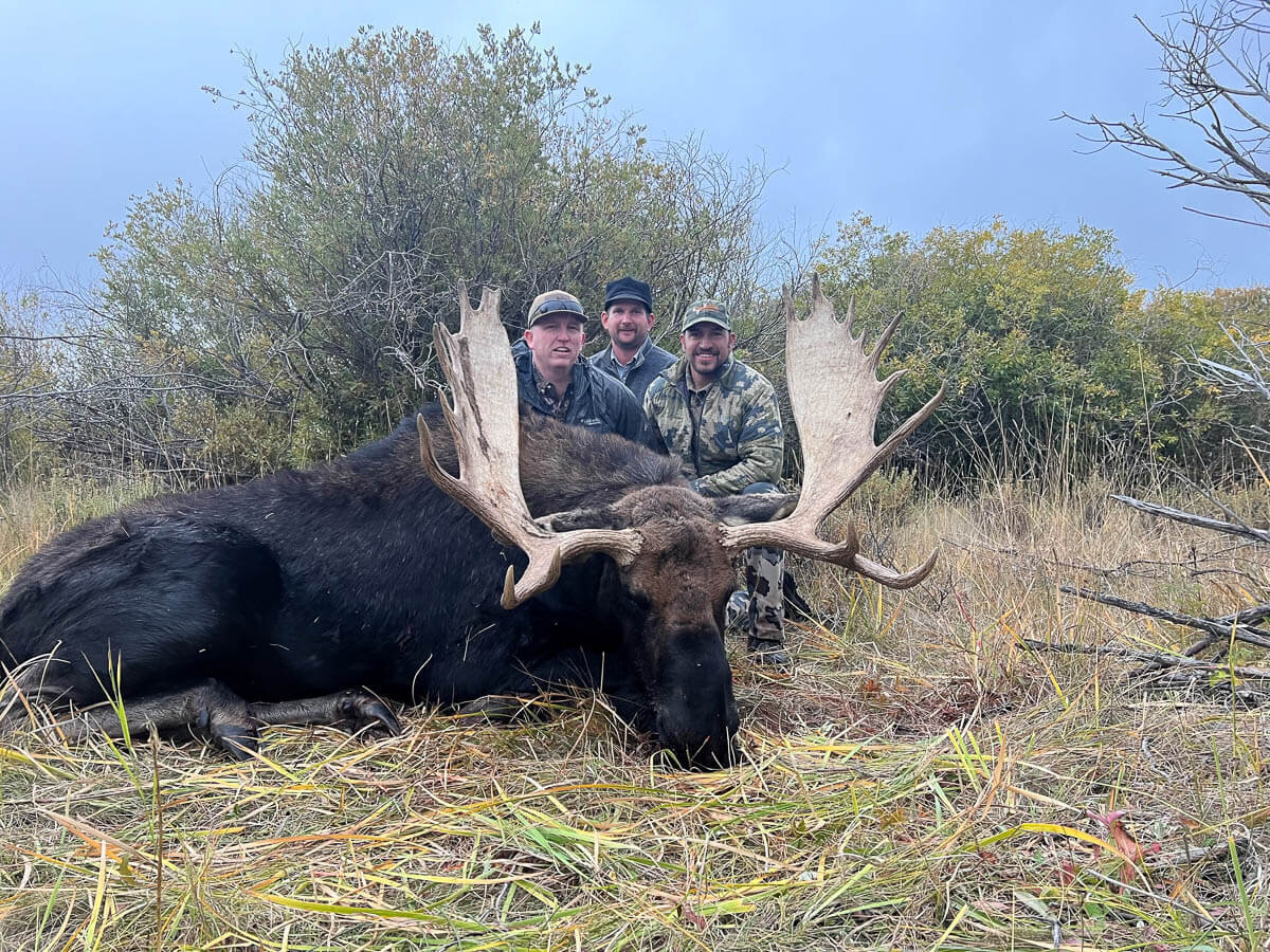 colorado-moose-hunting-outfitters-spur-outfitters