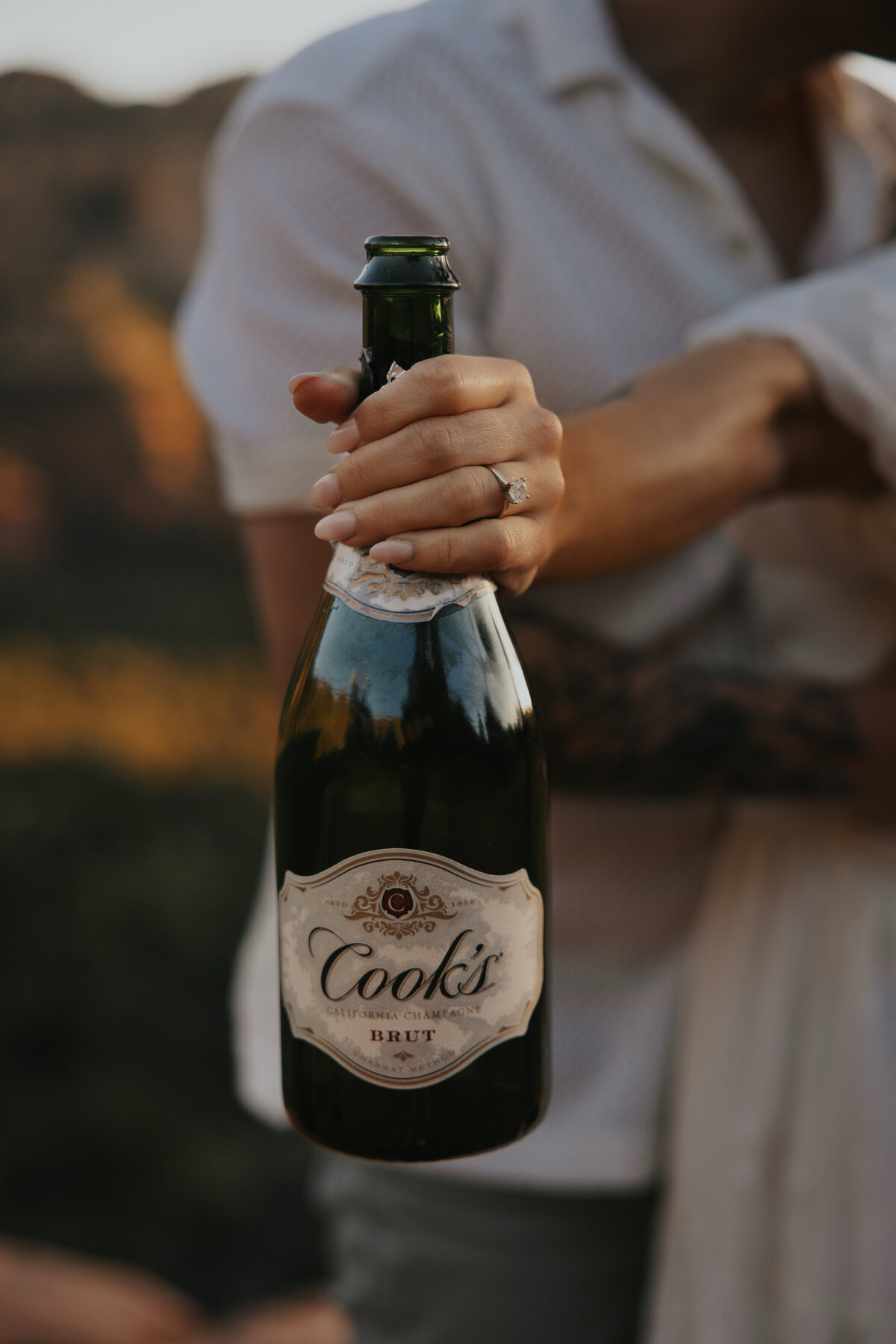 Lindsay & Clint Engagement-3706