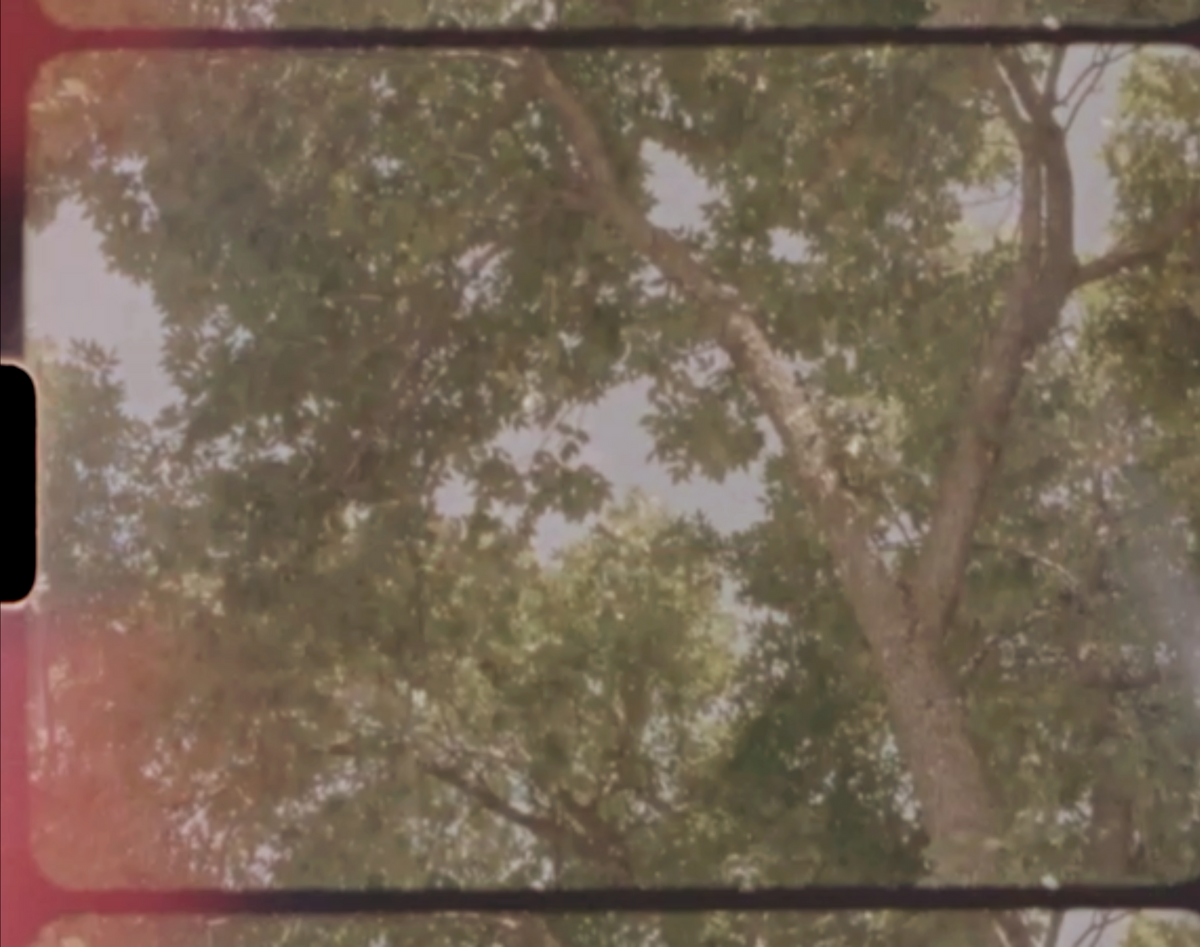 Screenshot 2025-11-11 at 2.38.50 PM