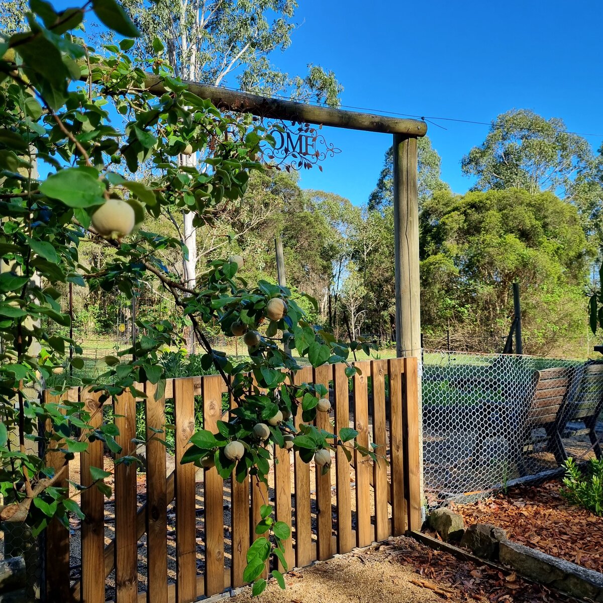 Entry to vegetable garden with welcome sign