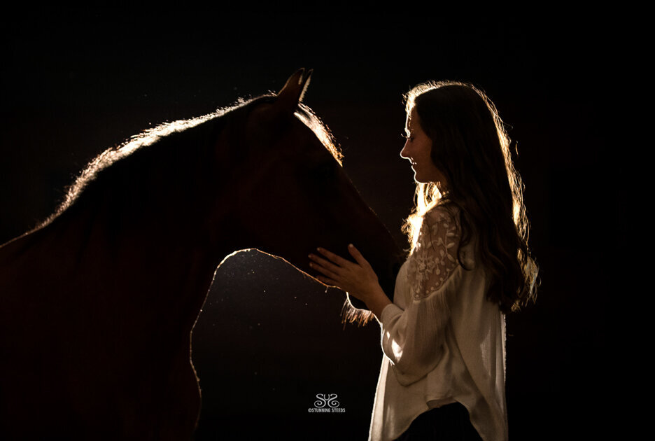 stunning-steeds-photo-night-horse-portrait