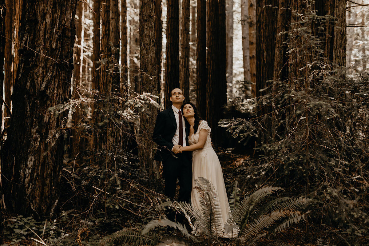 redwoods-elopement-photographer-9745_websize