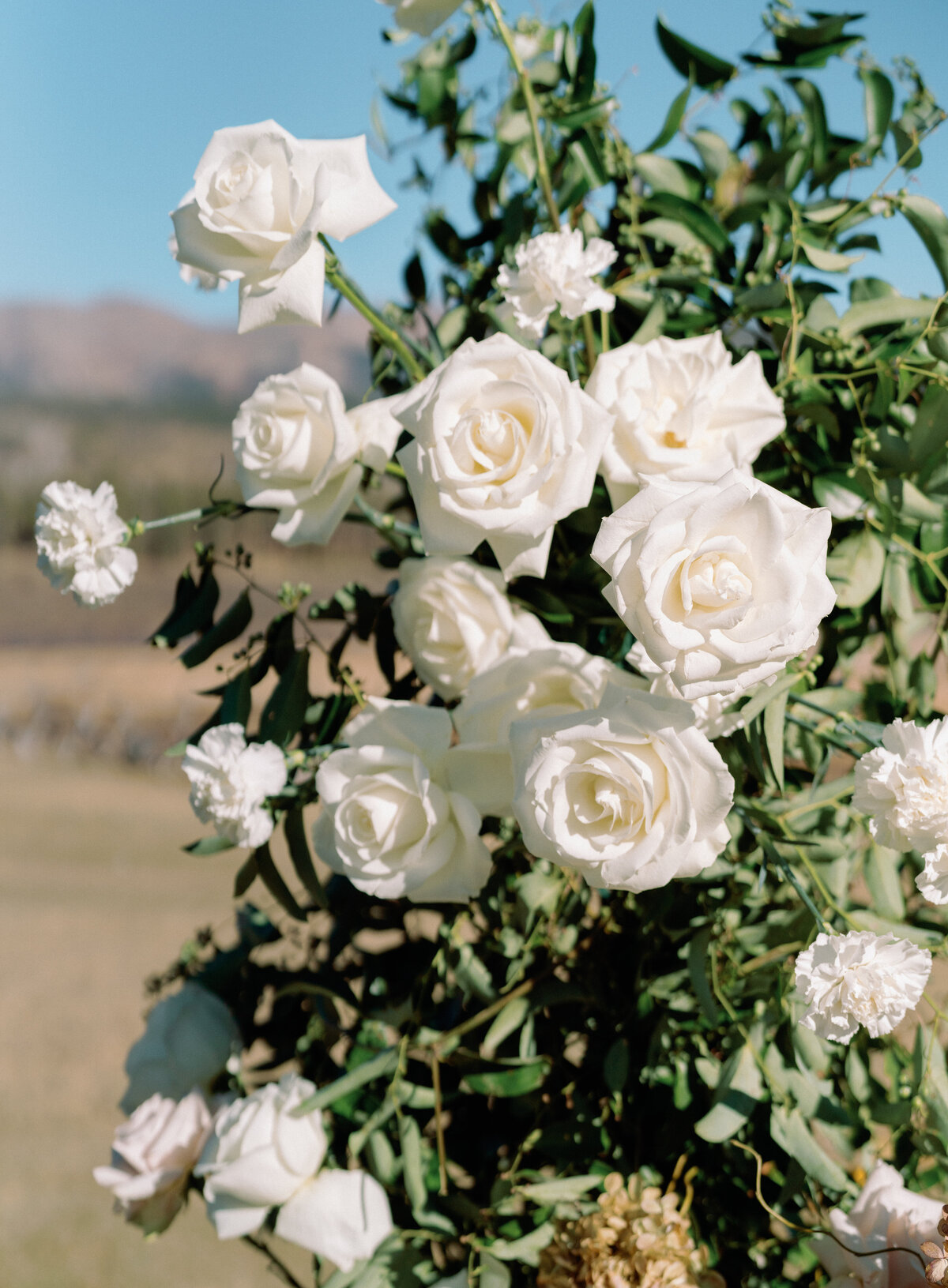 Kelly & Seth Wedding-198