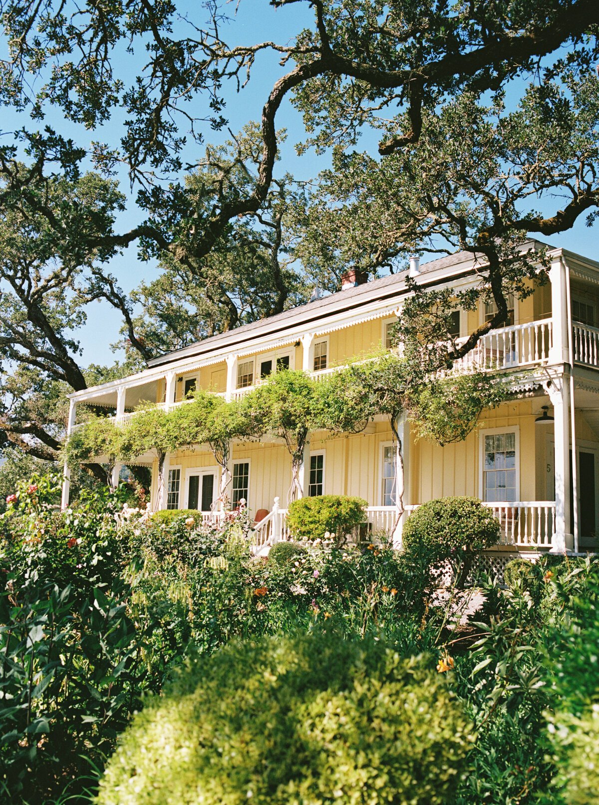 tennessee-elopement-photographer-548