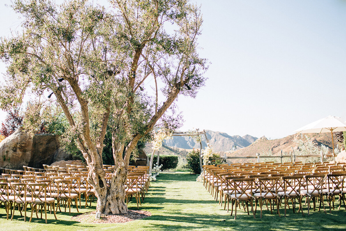 Southern California Wedding Planner - Robin Ballard Events - Cielo Farms - Southern California Wedding Planner - Robin Ballard Events - IzzyandNick-Teasers-14