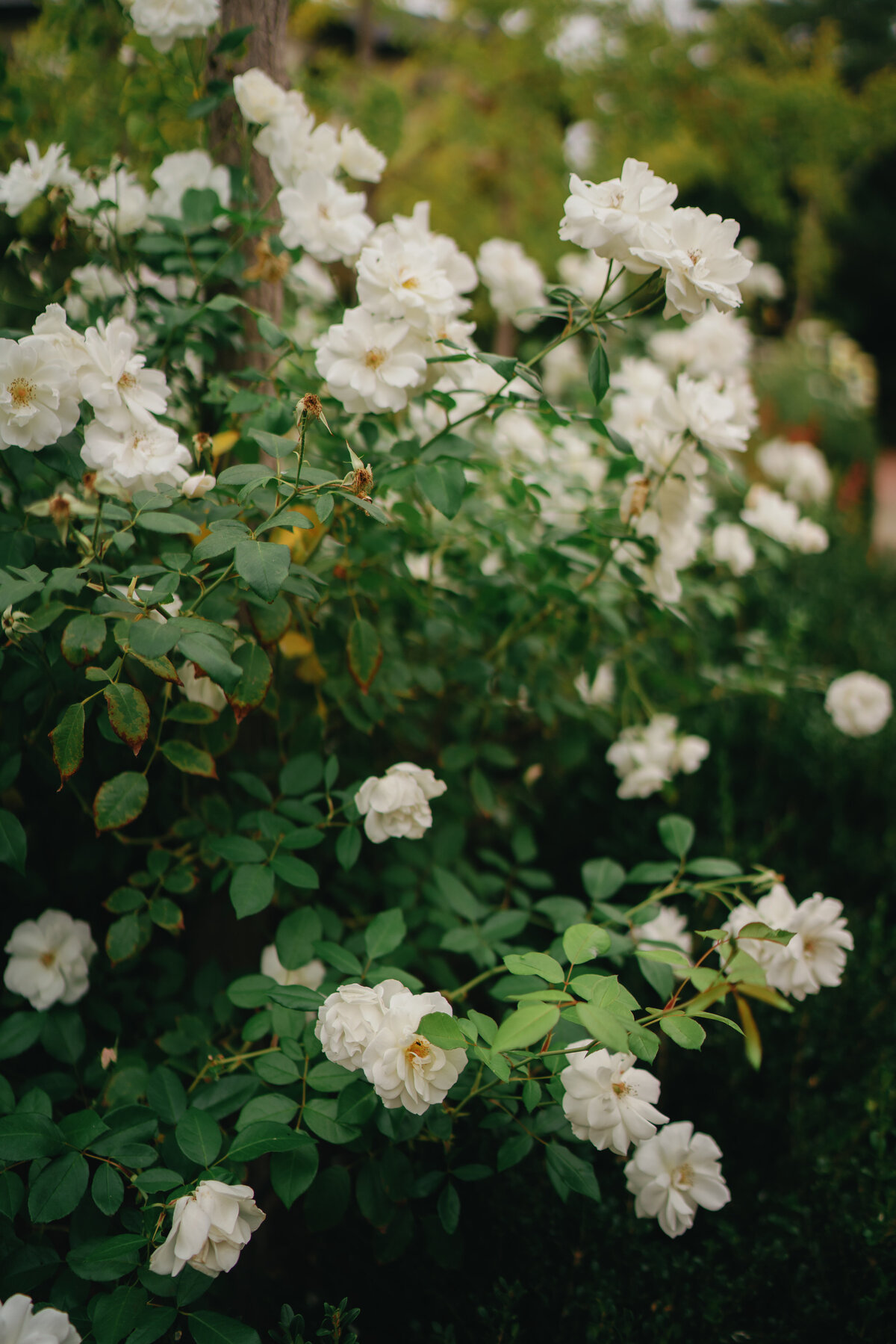 JamieandChris_Highlights-9