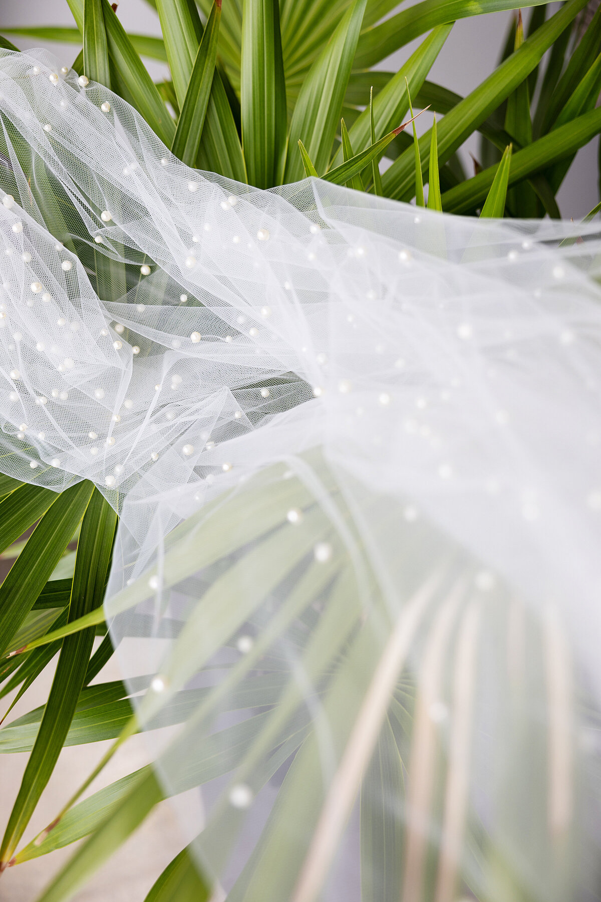 pearl veil