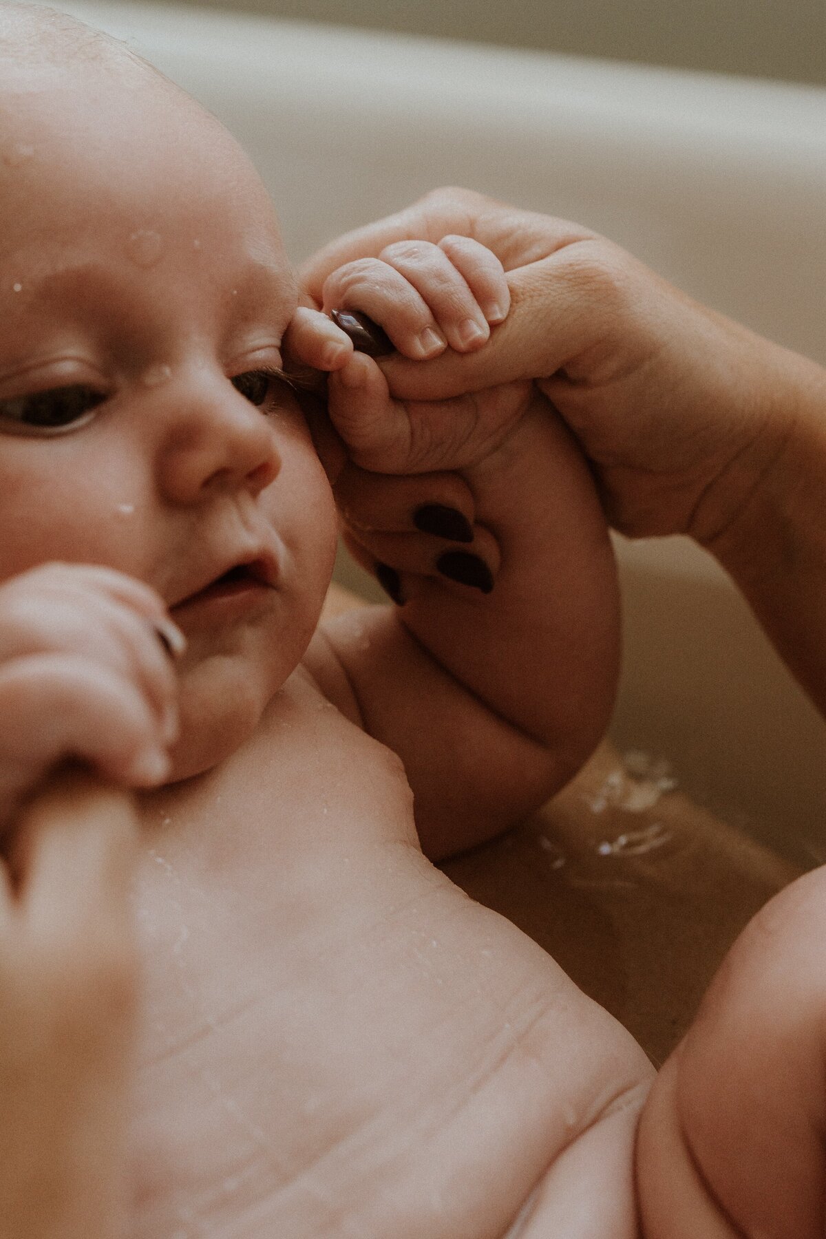 central-coast-motherhood-photos-willow-and-rose-4