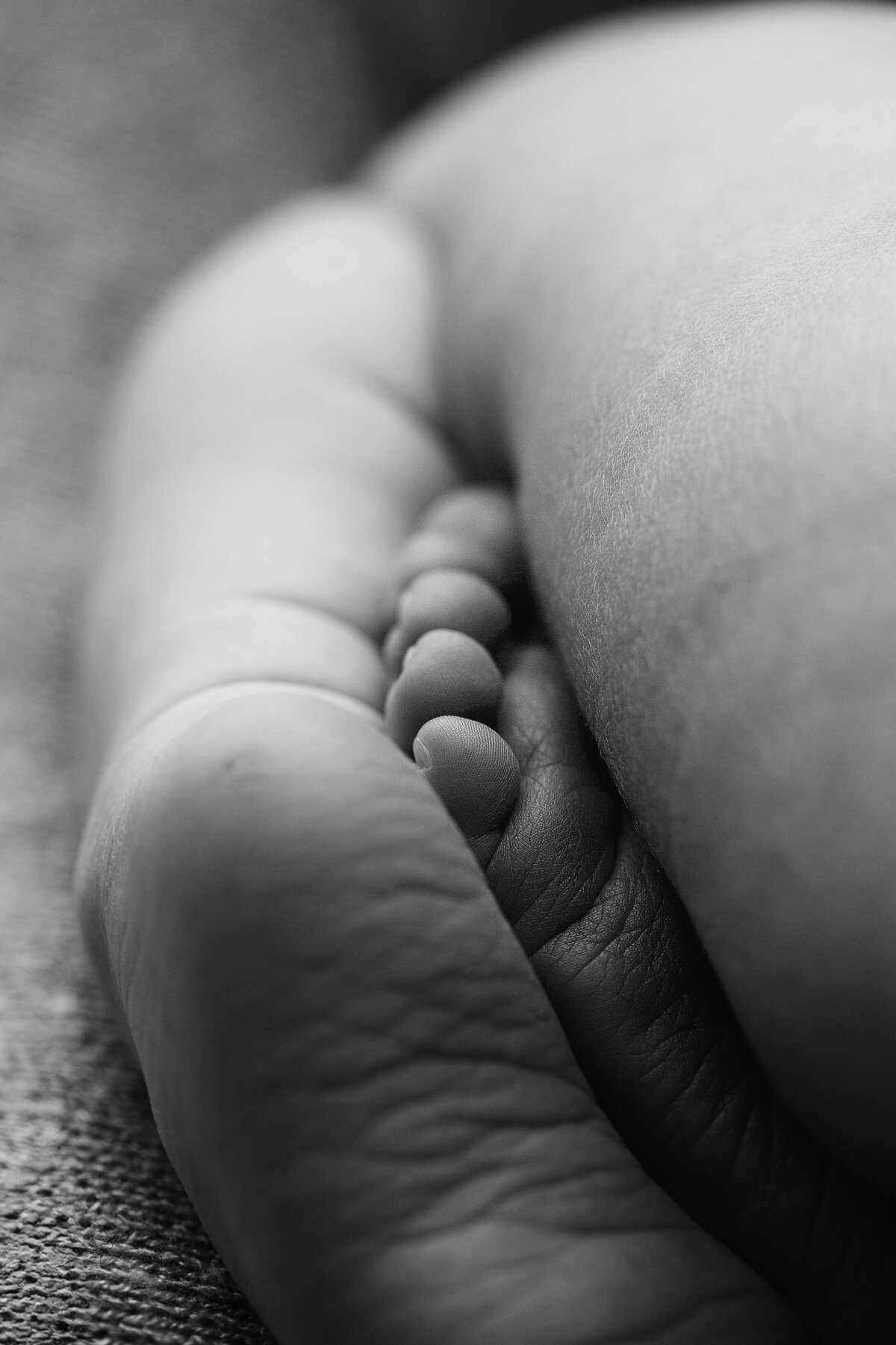 Collingwood-Studio-Newborn-Photography (24)