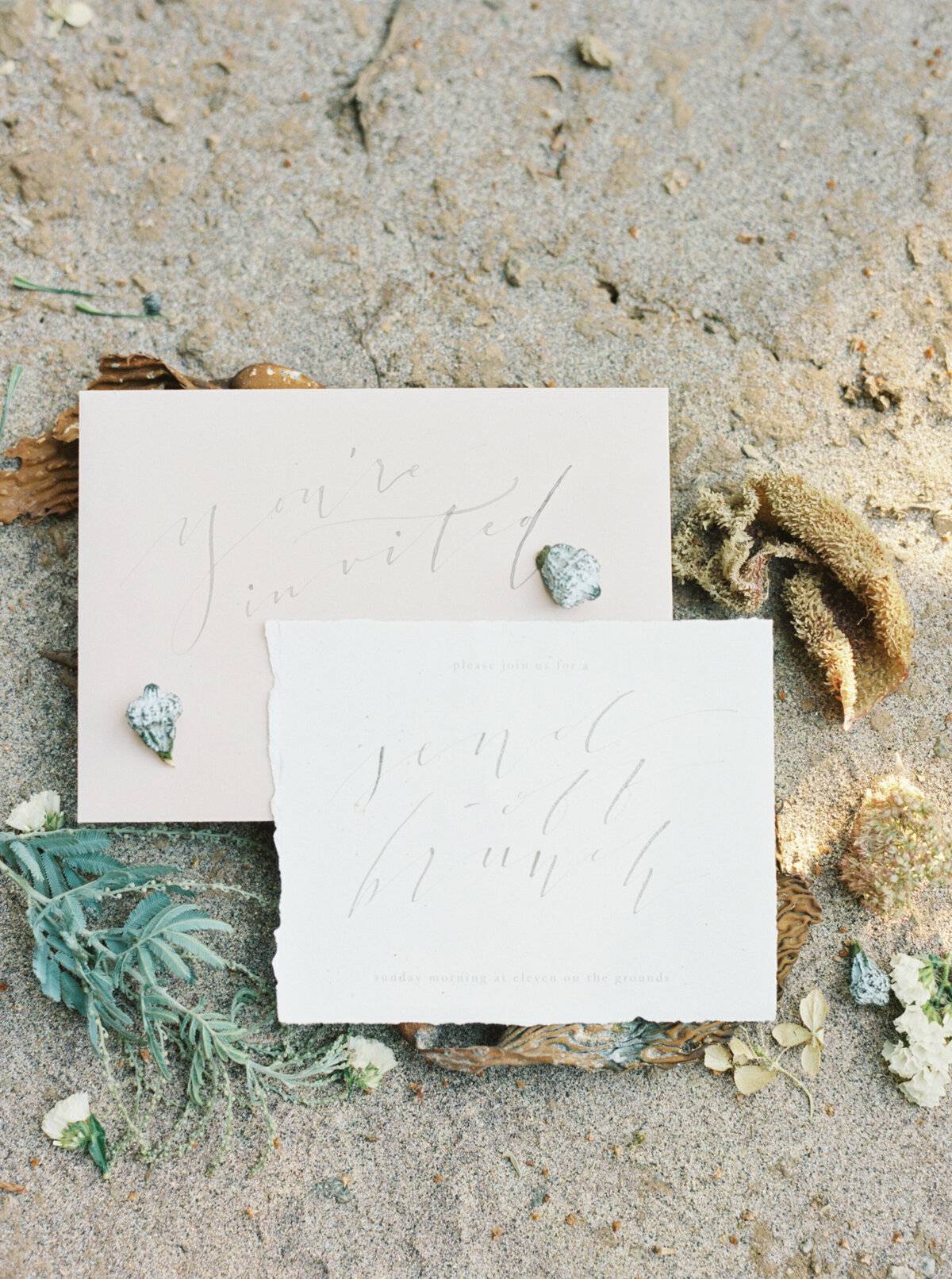 bigsur-California-wedding (5 of 29)