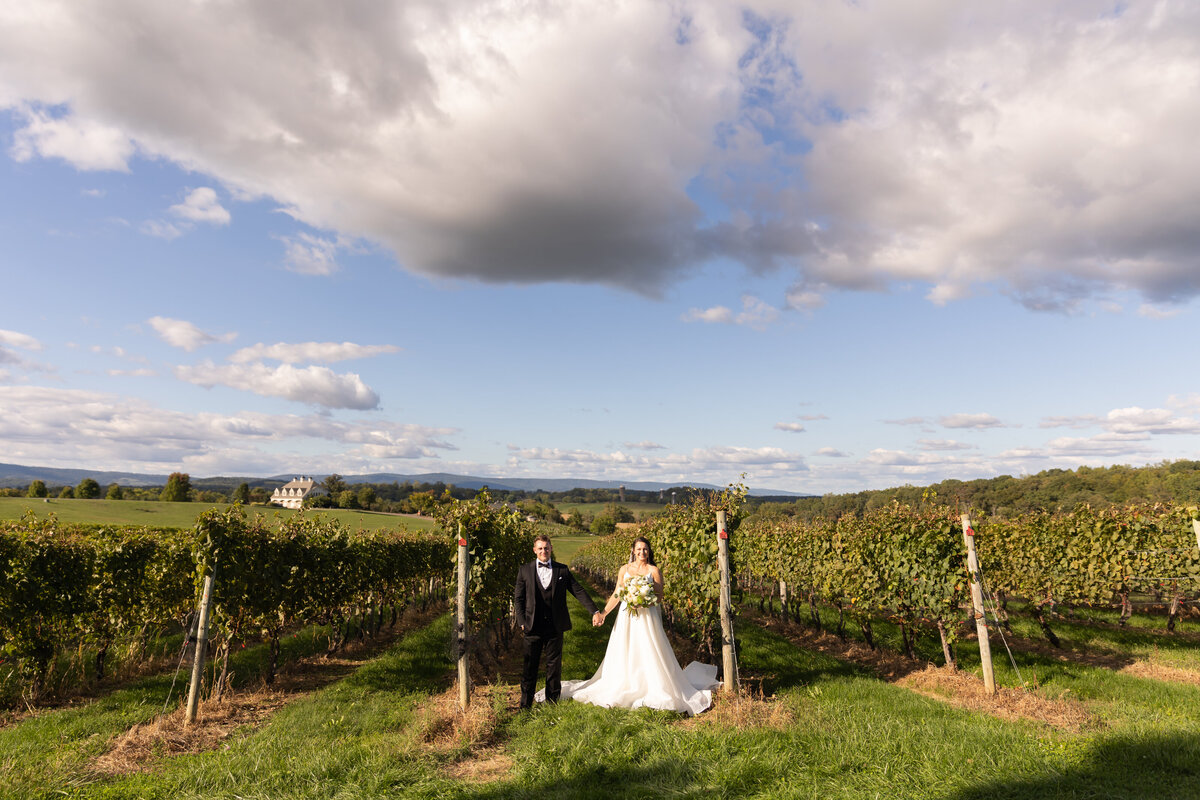 loudoun-studios-wedding-bluemont-blue-valley-vineyards-virginia00004