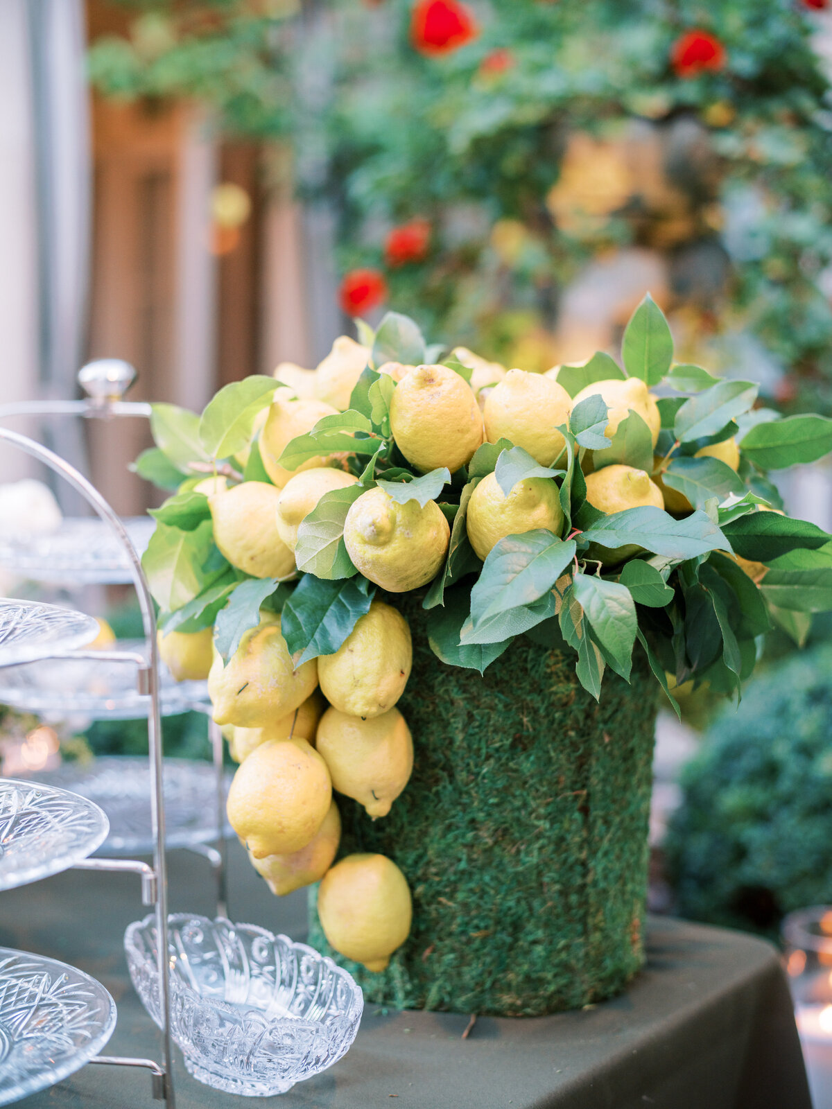 1036_1204BHP0923DR_JenniferXEthan_WDNG1642