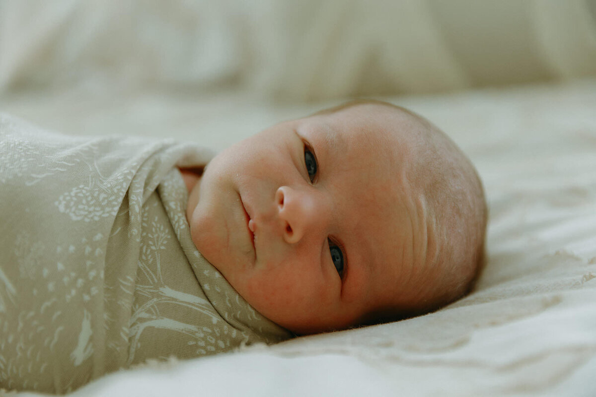 6.9.2025 - The Schultz Family_ Newborn-147