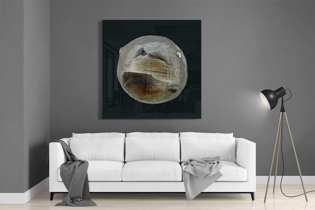 Fine Art featuring Project Stardust micrometeorite NMM 2365 Acrylic and Aluminum Panel Rm 1