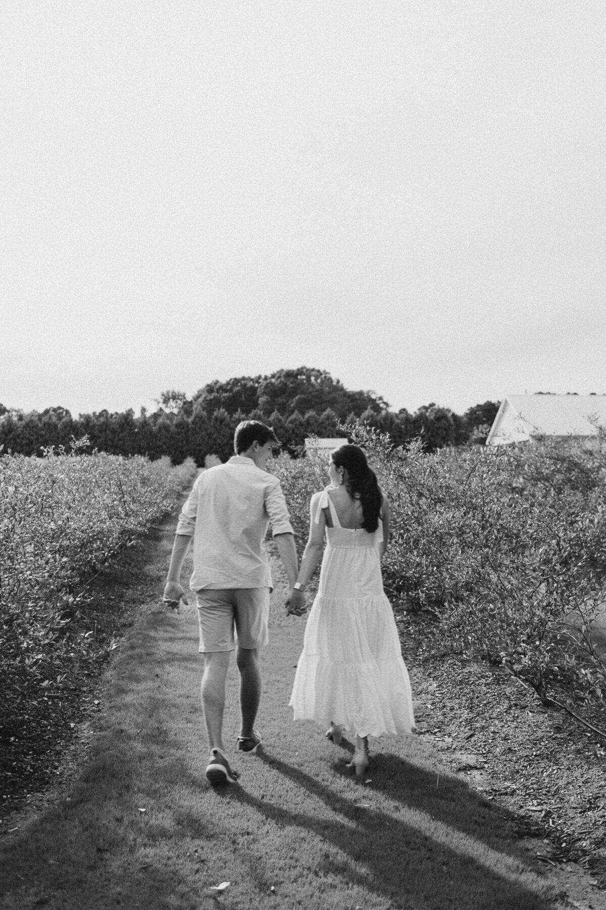 Couple walking through a vineyard