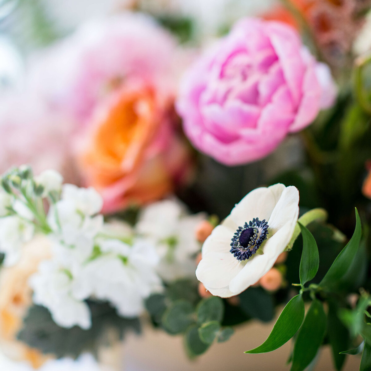 Ottawa-Event-Photographer-51-Revelle-1965