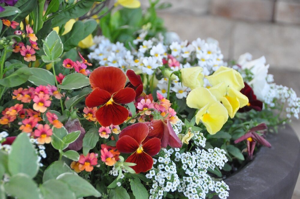 Residential landscape company project in Kansas City