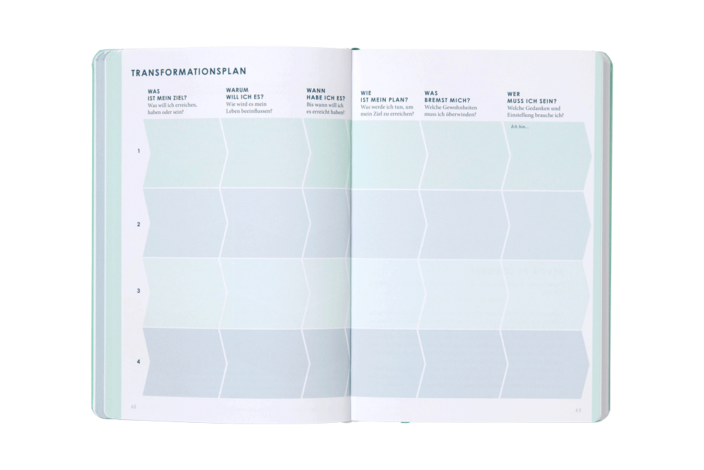 DE-M-2-Transformationsplan-w