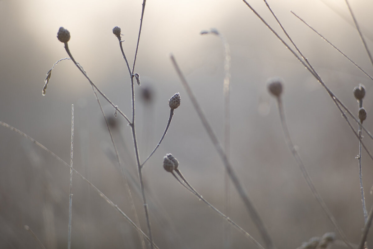 fine_art_photographer _045