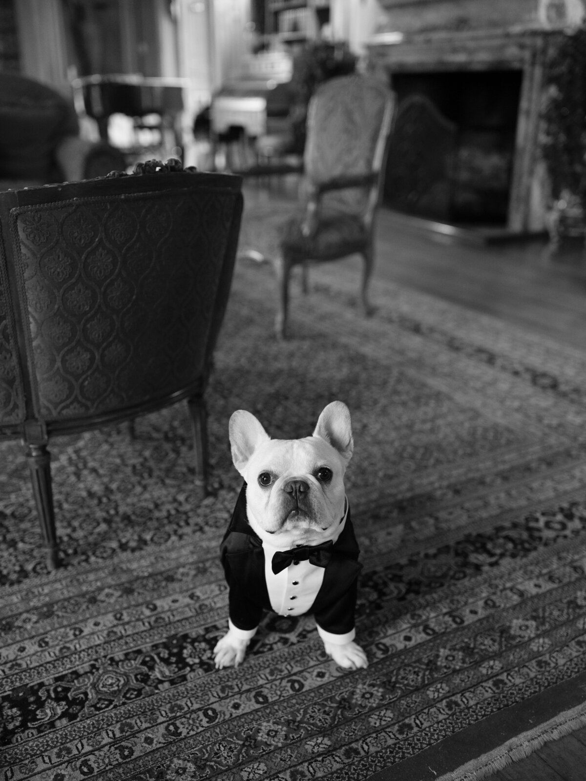 nyc-wedding-photographer-the-greens-photo-portfolio-104