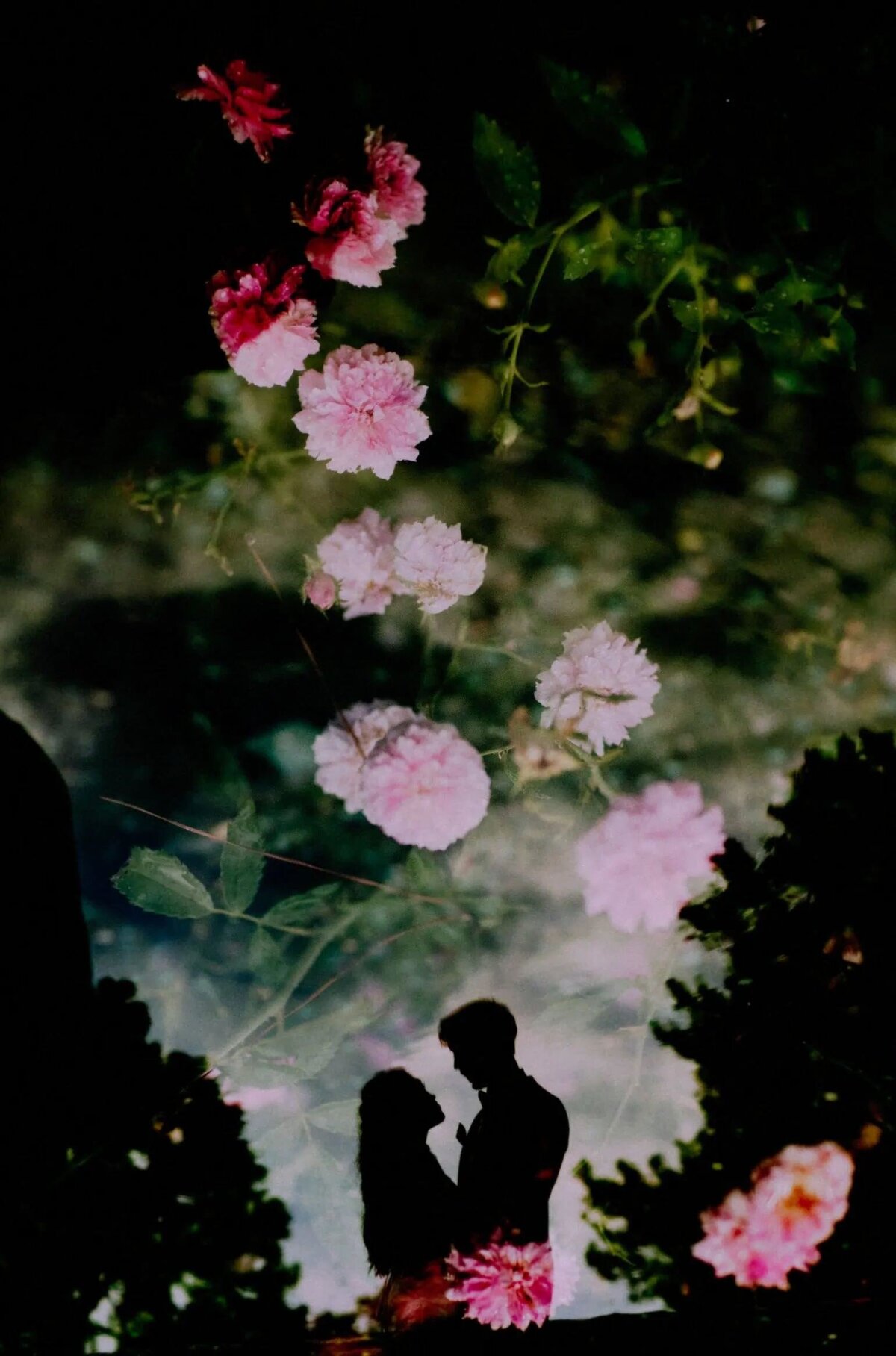 Silhouette of a couple framed by vibrant flowers