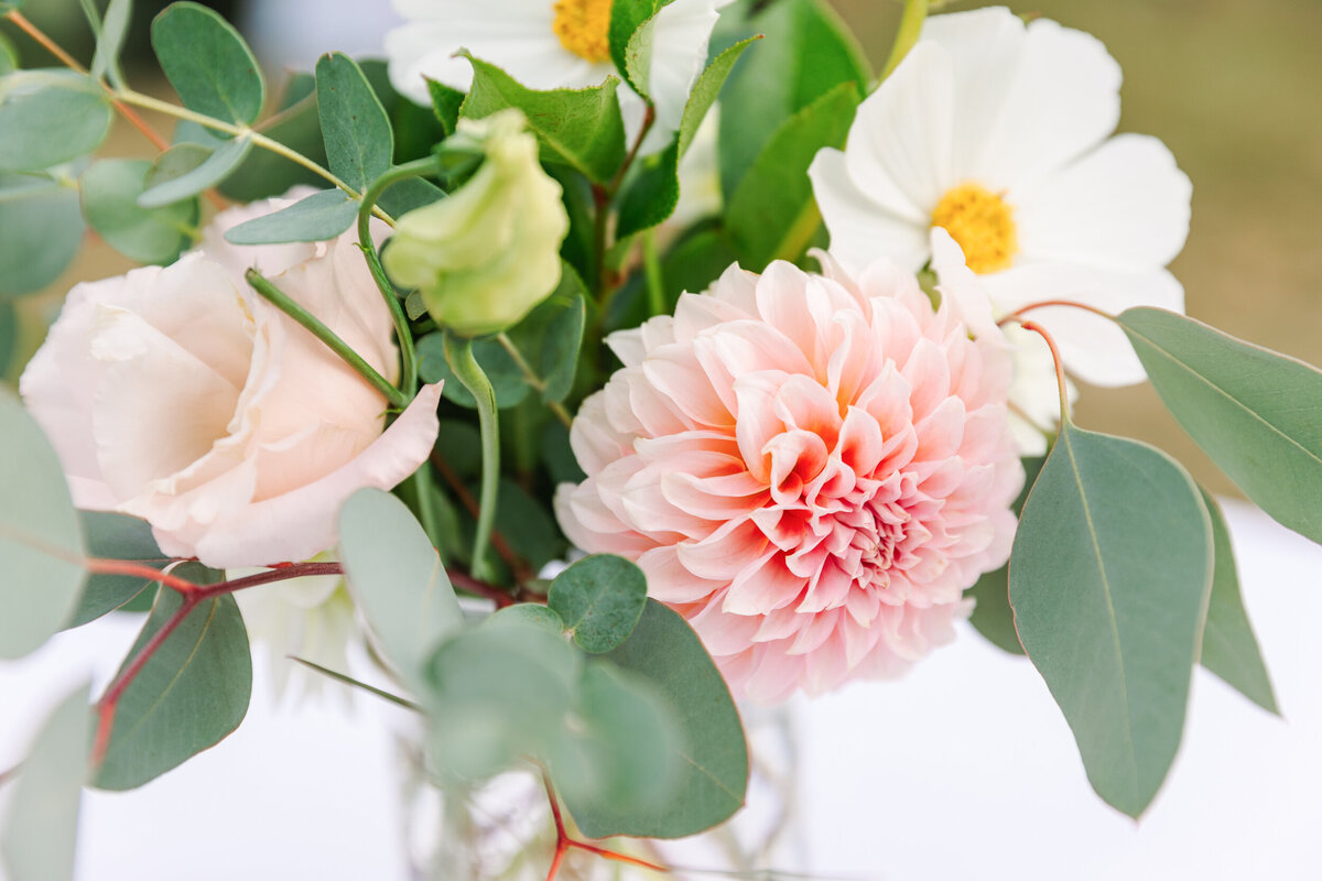 MeghanRobinsonPrivatePhotoEditor-47