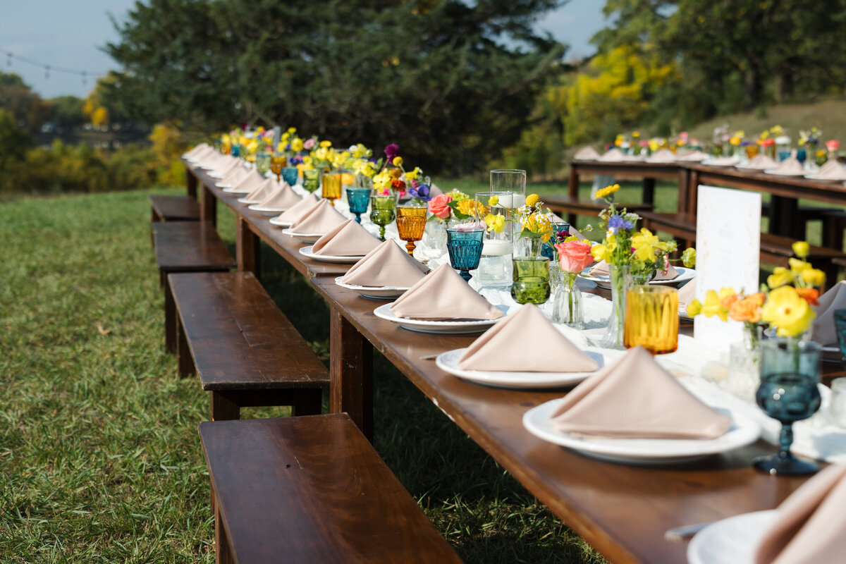 Backyard-Wedding-Rogers-MN-B&S-Will-DeGraw-Clever-Disarray-41