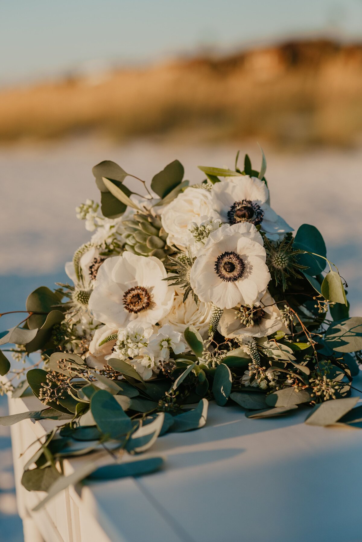 Pass-a-Grille Elopement