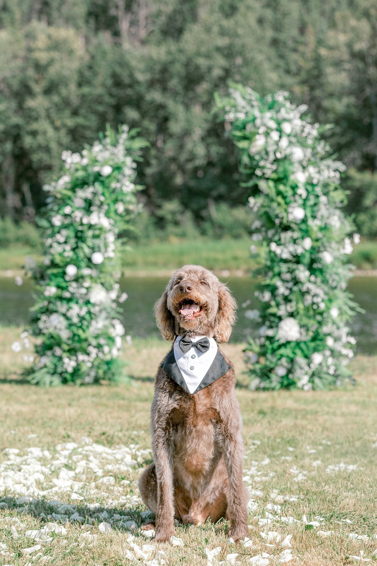 Red Deer Wedding Photographer_0017
