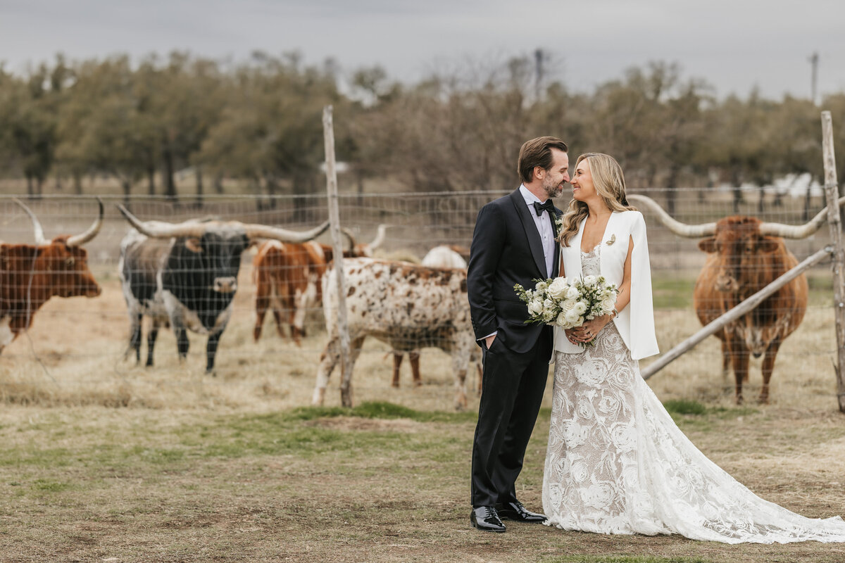 bride-groom-pose-with-longhorns