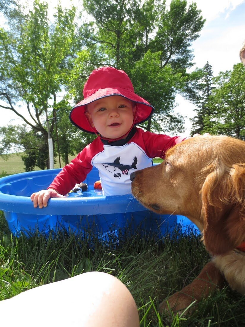 Appelgate-golden-retriever-puppies-Tess-1