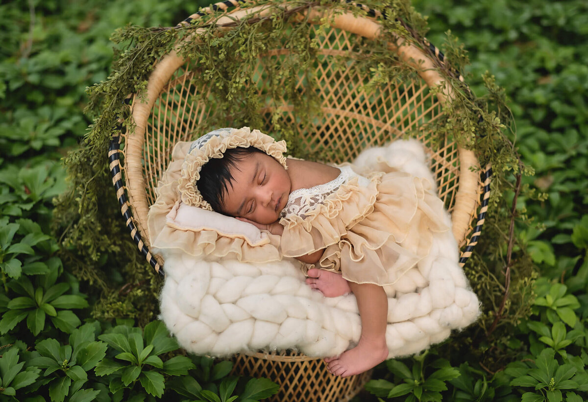 Outdoor Toronto  newborn photography session at Vineland Research Innovation centre  of beautiful baby girl sleeping on a wicker chair surrounded by greenery.