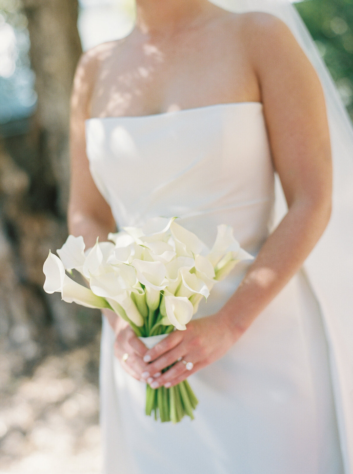 Santa Barbara Wedding Photographer