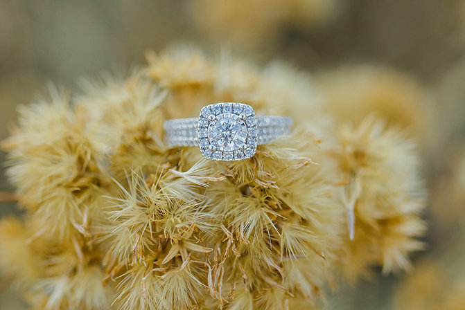 ring shot in dried flowers