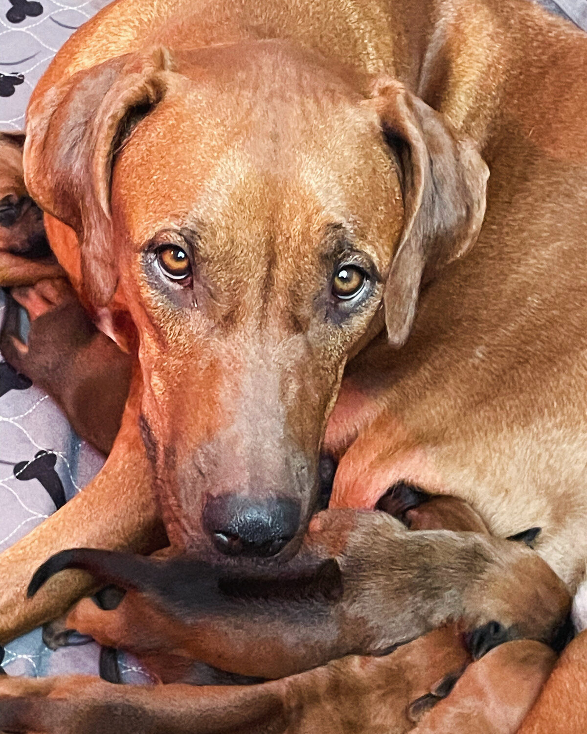 36520F69-E6CE-4FA3-9389-49139899CB02