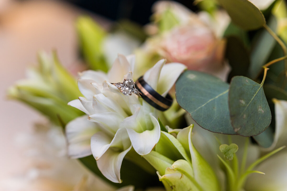 Mollie & Shawn-15