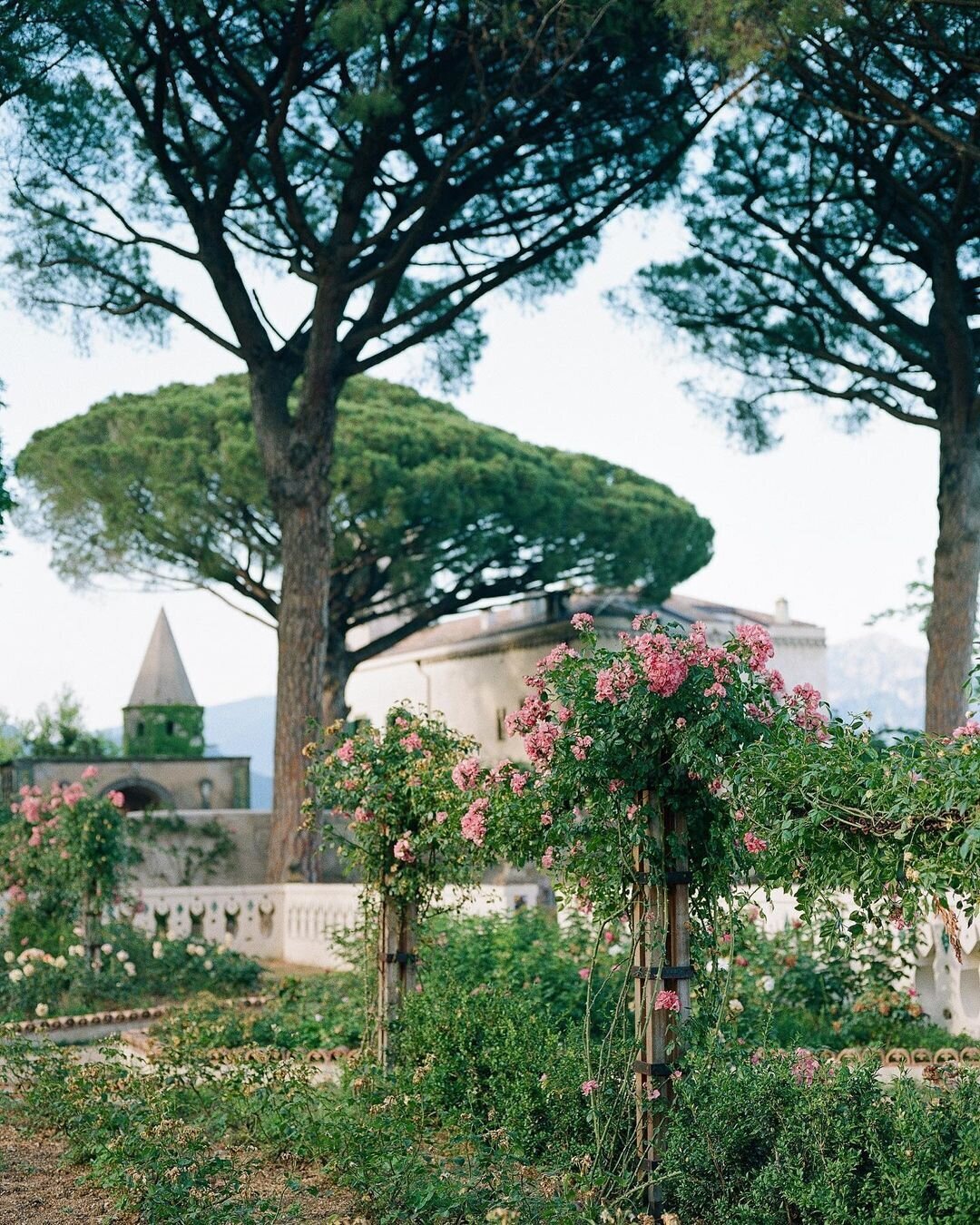 Villa Cimbrone Ravello Wedding Venue - Shasta Belle Photographie - 04