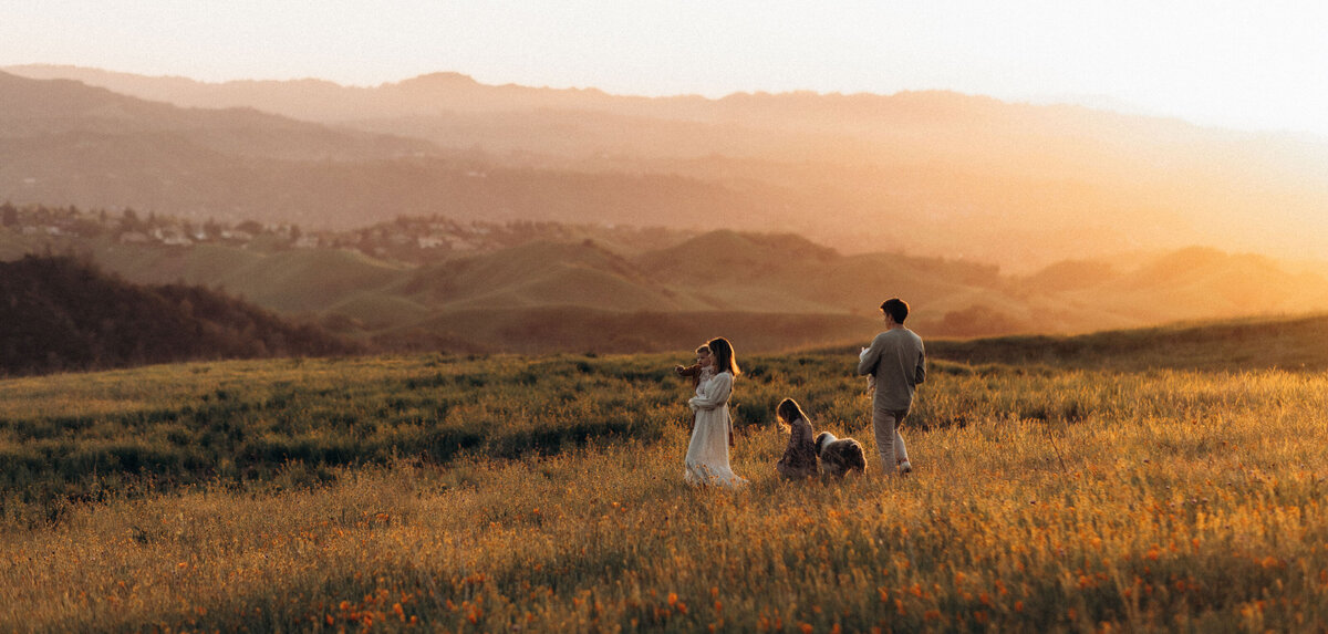 A family walks through a field in San Francisco bay area with their dog at sunset, overlooking distant hills. The warm glow of the sun highlights the golden grass around them.